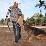 chuyên gia huấn luyện chó