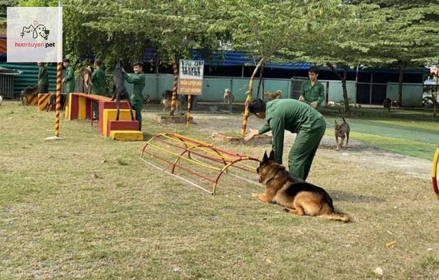 Hãy tìm hiểu kỹ thông tin, liên hệ trực tiếp với các trung tâm để được tư vấn chi tiết trước khi quyết định.