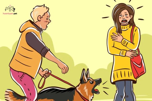 Chó sủa người lạ là một vấn đề phổ biến, gây khó chịu cho cả chủ lẫn khách