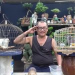 Quá trình huấn luyện cu gáy khách cần thời gian và sự kiên trì